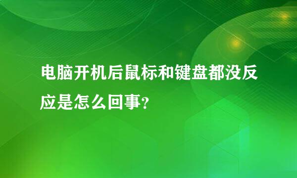 电脑开机后鼠标和键盘都没反应是怎么回事？