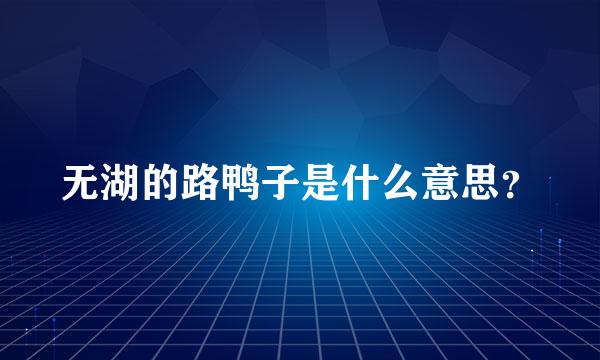 无湖的路鸭子是什么意思？