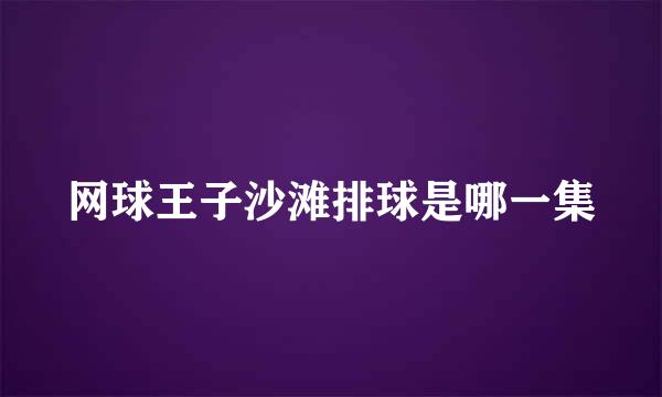 网球王子沙滩排球是哪一集