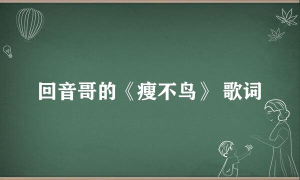 回音哥的《瘦不鸟》 歌词