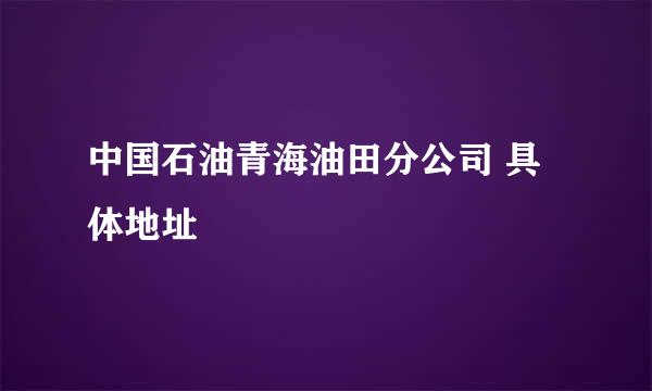 中国石油青海油田分公司 具体地址