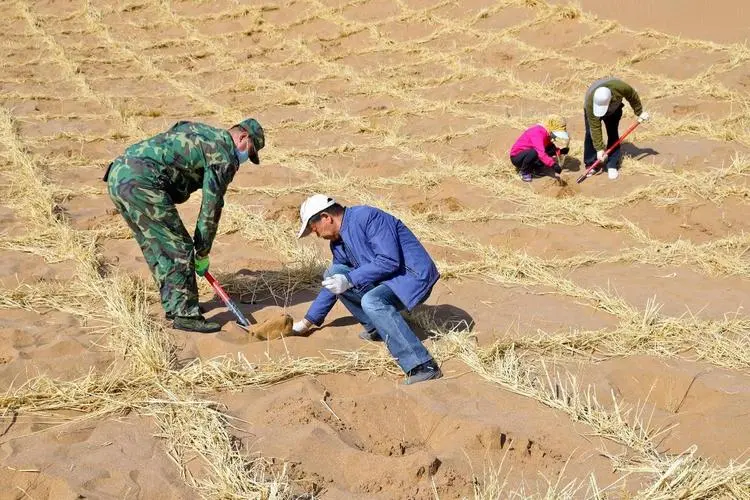 小伙立志种1亿棵梭梭为家乡挡风沙！现在完成多少了？