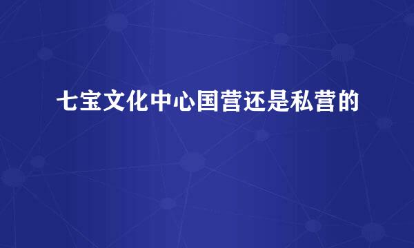 七宝文化中心国营还是私营的