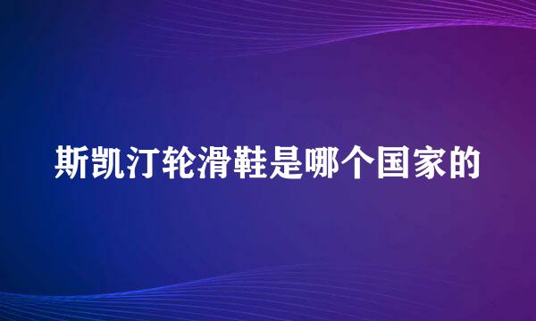 斯凯汀轮滑鞋是哪个国家的