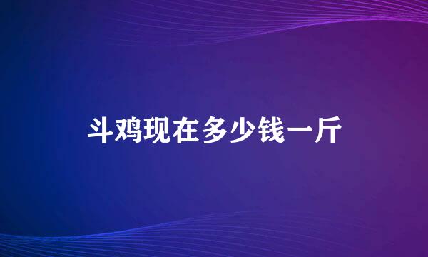 斗鸡现在多少钱一斤