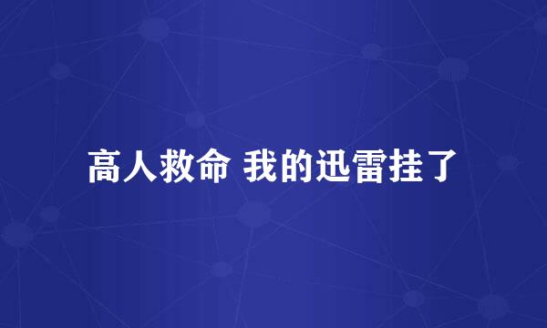 高人救命 我的迅雷挂了