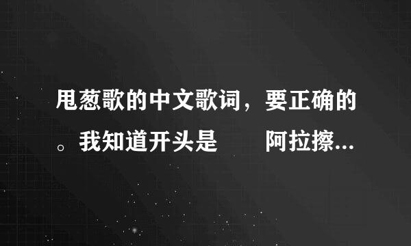 甩葱歌的中文歌词，要正确的。我知道开头是　　阿拉擦擦　。。。　