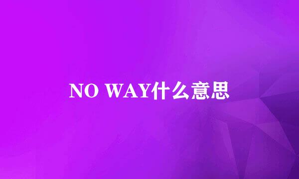 NO WAY什么意思