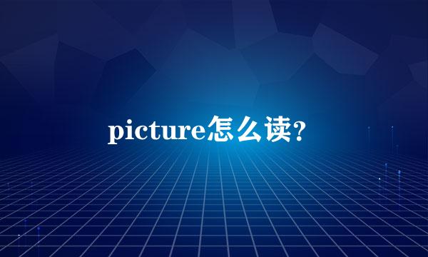 picture怎么读？