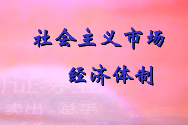 我国经济体制改革的目标是建立什么？