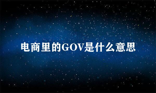 电商里的GOV是什么意思