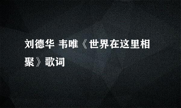 刘德华 韦唯《世界在这里相聚》歌词