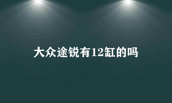 大众途锐有12缸的吗