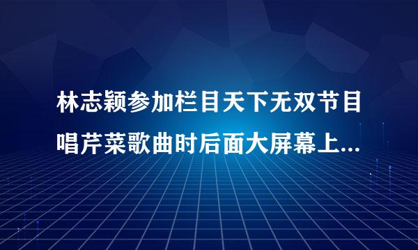 林志颖参加栏目天下无双节目唱芹菜歌曲时后面大屏幕上的图像是林