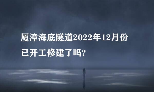 厦漳海底隧道2022年12月份已开工修建了吗?