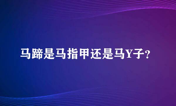 马蹄是马指甲还是马Y子？