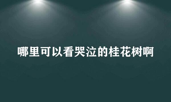 哪里可以看哭泣的桂花树啊