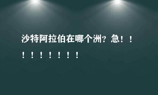 沙特阿拉伯在哪个洲？急！！！！！！！！！