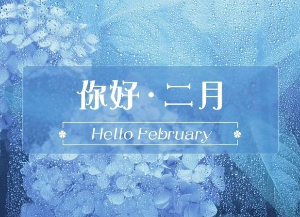 阳历2月有29号吗？