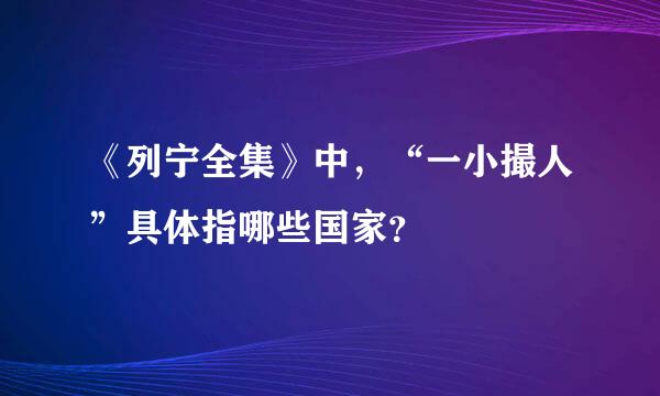 《列宁全集》中，“一小撮人”具体指哪些国家？