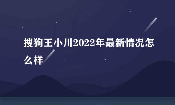 搜狗王小川2022年最新情况怎么样