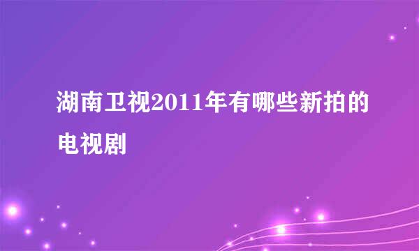 湖南卫视2011年有哪些新拍的电视剧