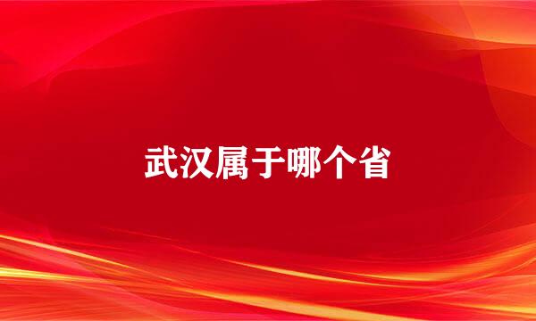 武汉属于哪个省