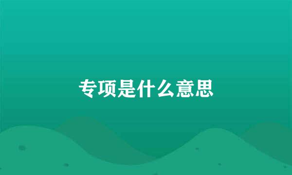 专项是什么意思