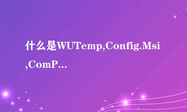 什么是WUTemp,Config.Msi,ComPlus Applications?可以删掉吗?