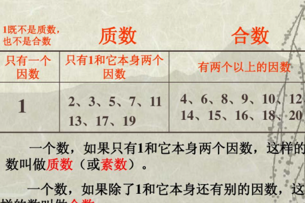 22代表什么意思