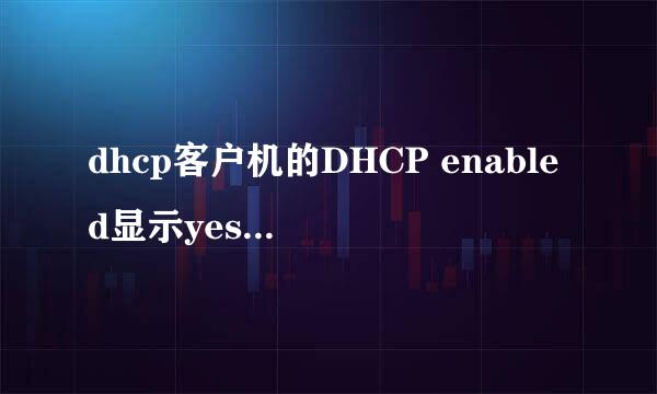 dhcp客户机的DHCP enabled显示yes是否正常获得了IP信息