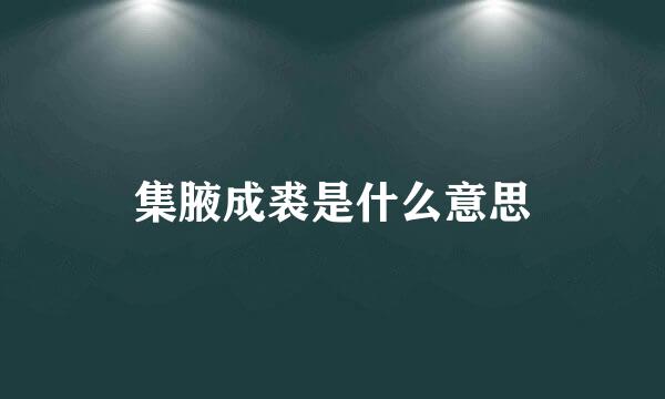 集腋成裘是什么意思