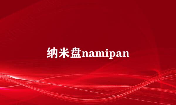 纳米盘namipan