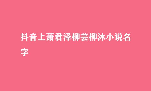 抖音上萧君泽柳芸柳沐小说名字