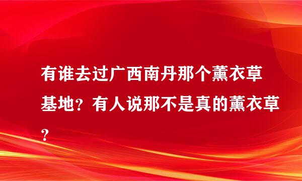 有谁去过广西南丹那个薰衣草基地？有人说那不是真的薰衣草？