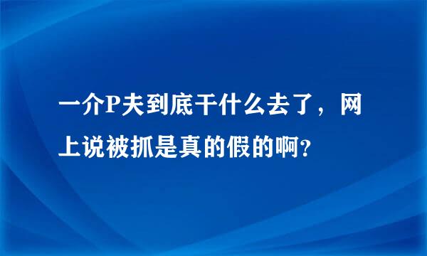 一介P夫到底干什么去了，网上说被抓是真的假的啊？