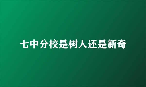 七中分校是树人还是新奇