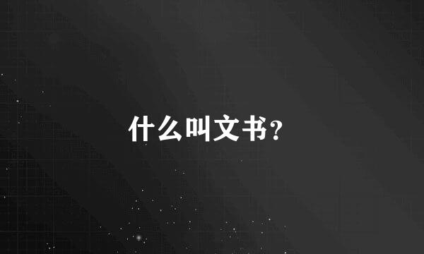 什么叫文书？