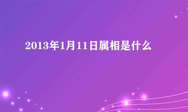 2013年1月11日属相是什么