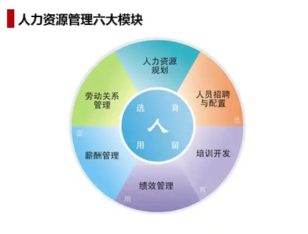 人力资源分为哪六大模块