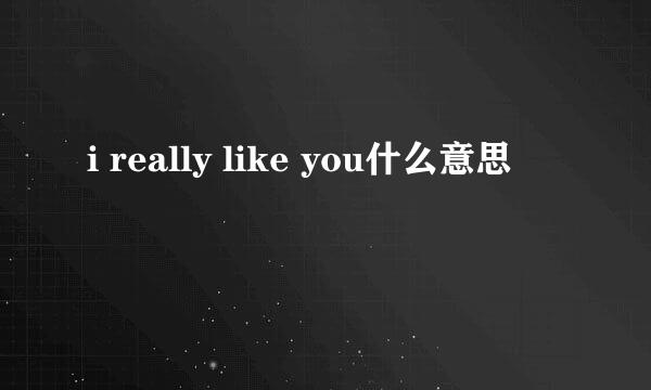 i really like you什么意思