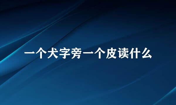 一个犬字旁一个皮读什么