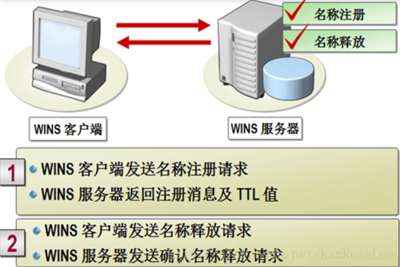 wins是什么意思