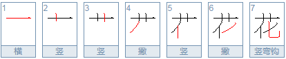 花的笔顺怎么写的