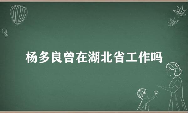 杨多良曾在湖北省工作吗