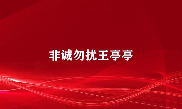 非诚勿扰王亭亭