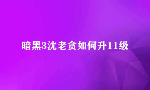 暗黑3沈老贪如何升11级