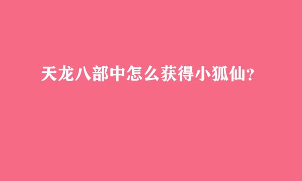 天龙八部中怎么获得小狐仙？