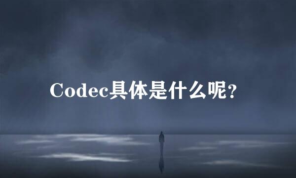 Codec具体是什么呢？