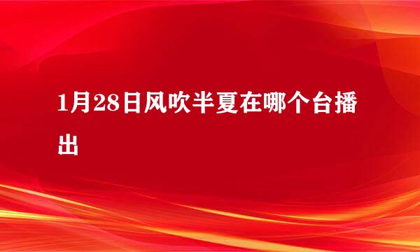 1月28日风吹半夏在哪个台播出